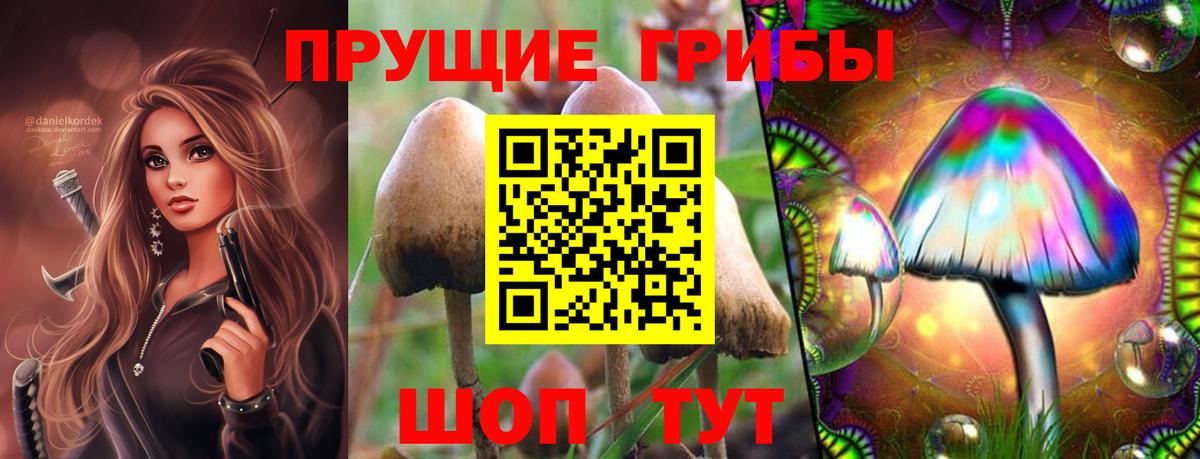 Галлюциногенные грибы ЛСД  Вход с VPN  Электросталь  Псилоцибиновые грибы ЛСД 